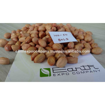 Groundnut Kernel